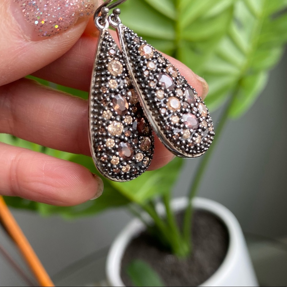 Teardrop Earrings